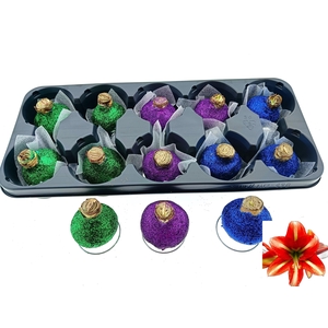 BLOEMBOL HIPPEASTRUM