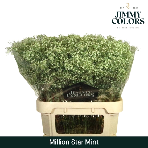 <h4>Gyps Million Star L80 Mint</h4>
