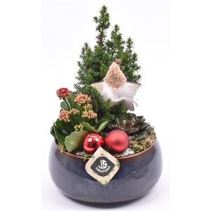 Arrangementen kamerplanten 6%