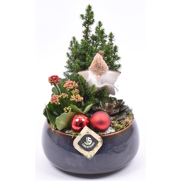<h4>Arrangementen kamerplanten 6%</h4>