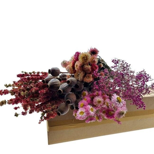 <h4>Dried flowers DIY box assorti 45-70cm</h4>