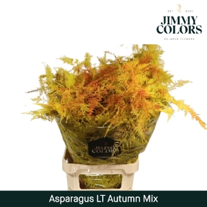 Asp lang getopt  Klbh. Autumn mix