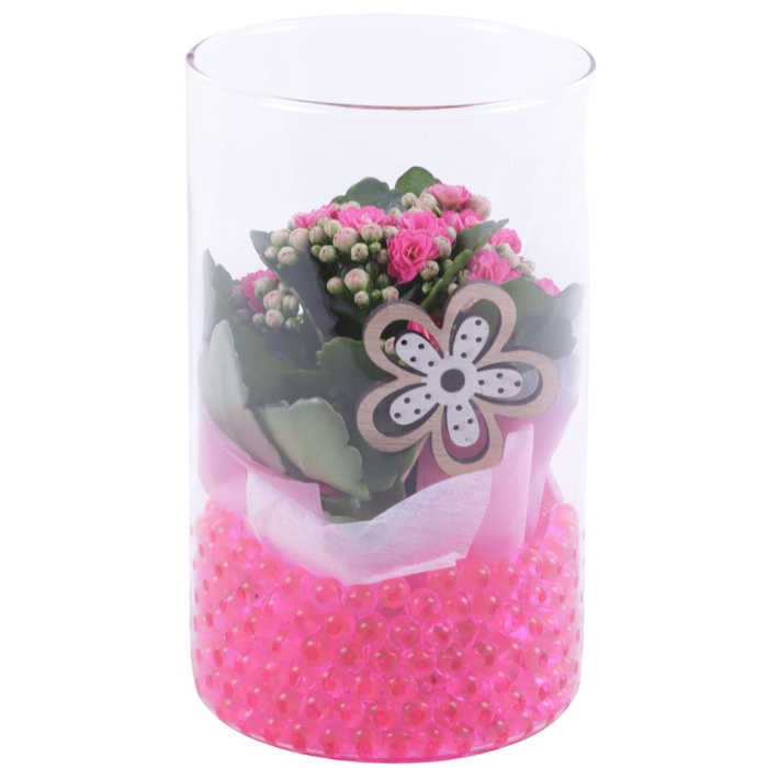 <h4>Womensday Arr. Indoor Glass Vase Cylinder Ø12cm 1PP</h4>