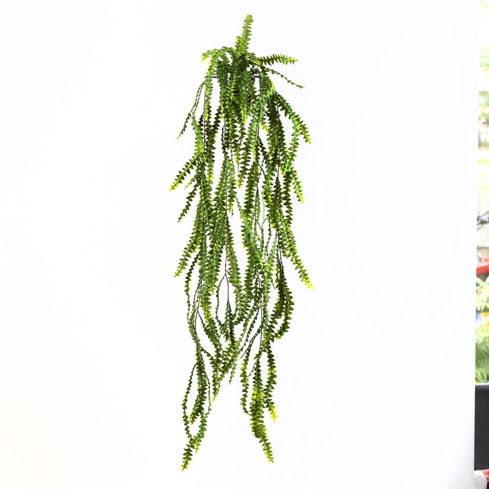 Banksia Leaf Hanging Plant in Pot Green GR110055GRN