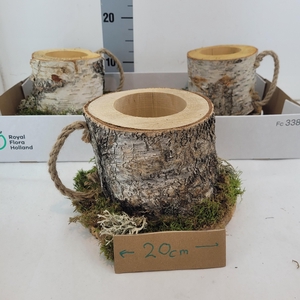 WOOD BERK STONK OP PLANK