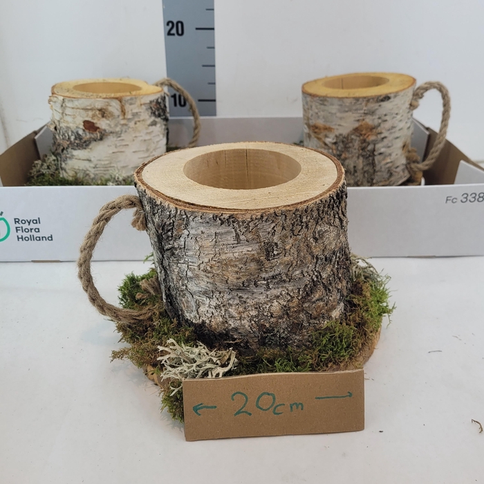 <h4>WOOD BERK STONK OP PLANK</h4>