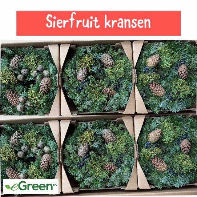 <h4>SIERFRUIT KRANS H%</h4>