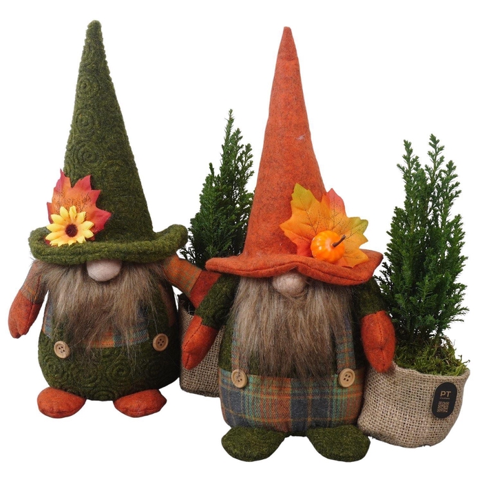 <h4>Arr.   Tuinplanten L%</h4>