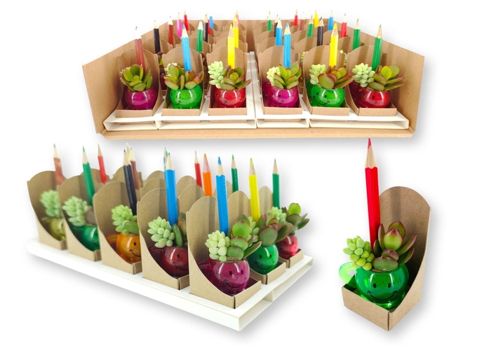 <h4>Arr. Succulents L%</h4>