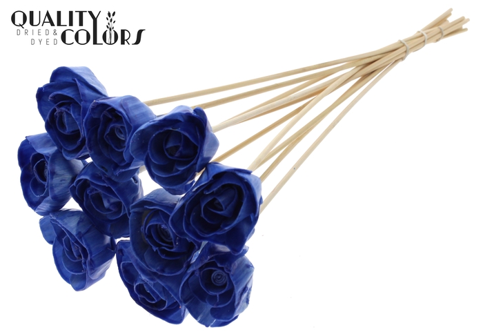 Shola Dear Holly 6cm on stem Wax Blue