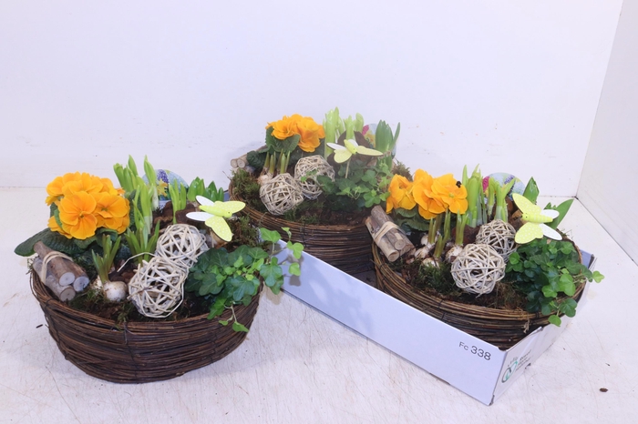 <h4>ARR TUINPLANTEN</h4>