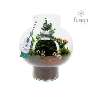 Green Bottle Laura Medium met Kerst Arrangement met LED