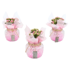 Womens Day Arr. Indoor Glass Round Relief Ø15cm 1PP