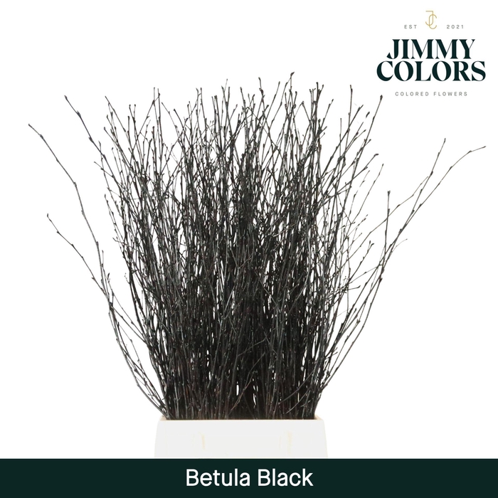 <h4>Betula L60 Black</h4>