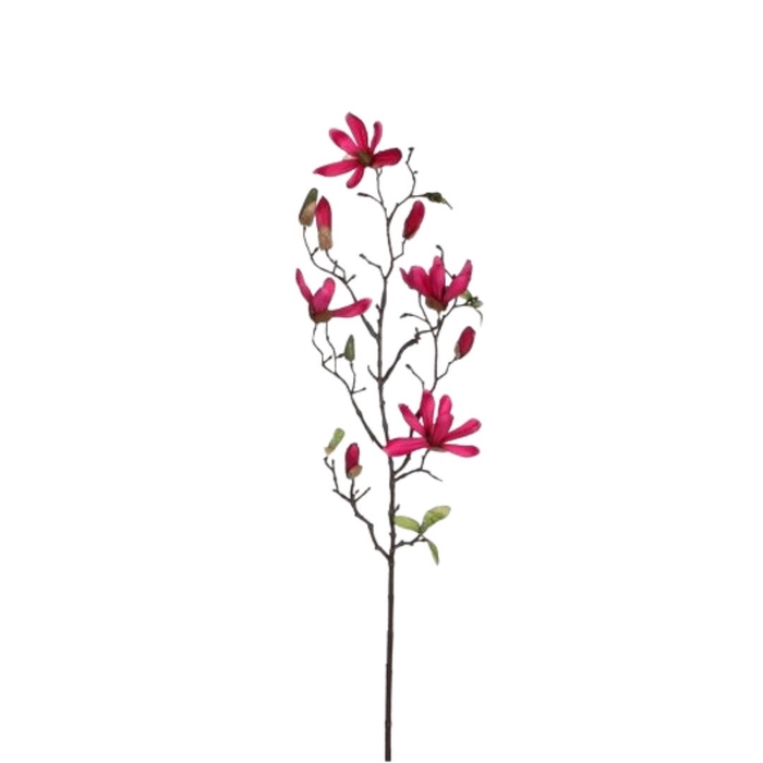 <h4>Magnolia 75cm</h4>