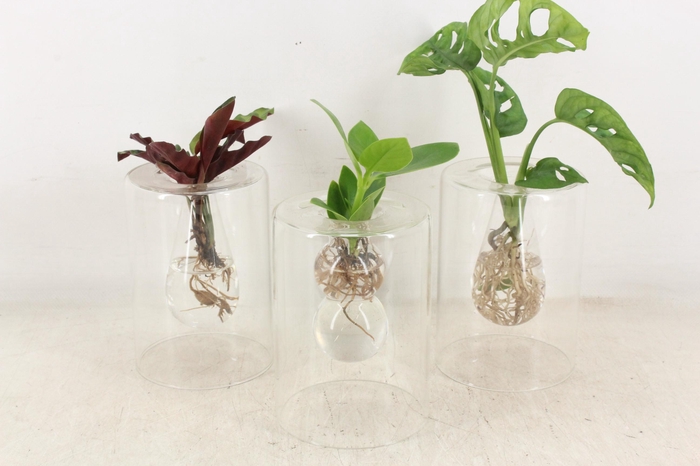 <h4>arr3 VDE - Sydney glas x8</h4>