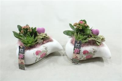 <h4>2274 Ker Wit Hart</h4>