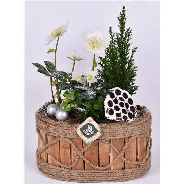 <h4>Hout ovaal touw decor 26x16cm</h4>