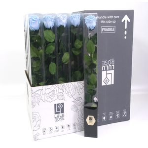 Rosa Preserved Stem 50cm Graceful Baby Blue