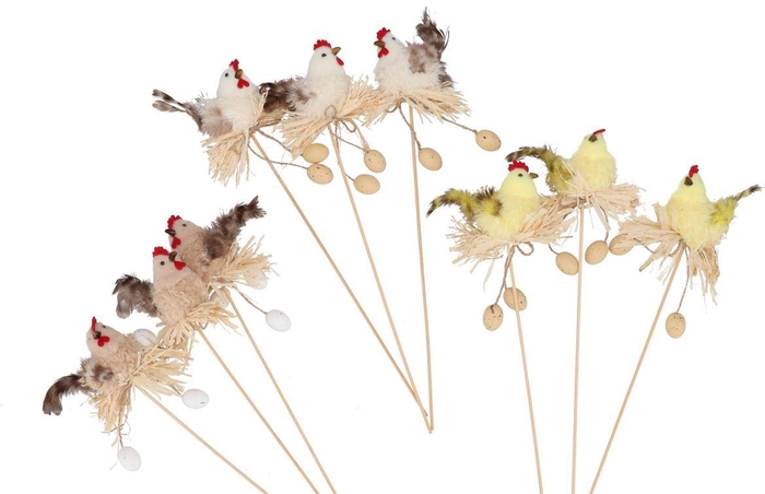 <h4>Pick Easter Fun Natural Brown Mix Chickeggs Ass 9x9x35cm</h4>