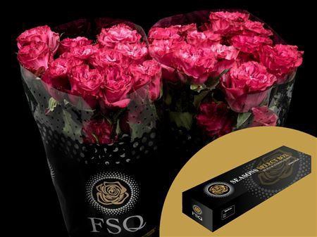 <h4>R Gr Country Blues Box</h4>