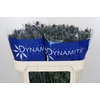 Eryngium Blue Dynamite