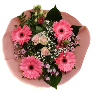 202275 Roze