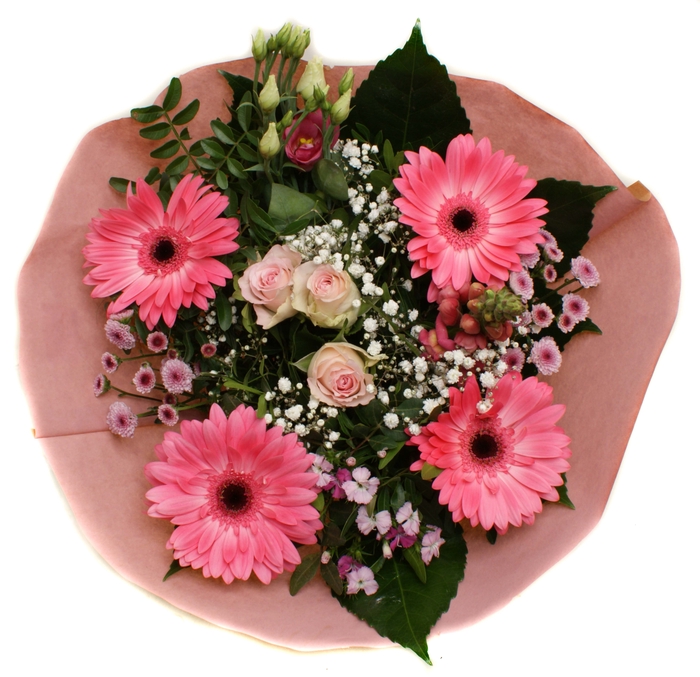 <h4>202275 Roze</h4>