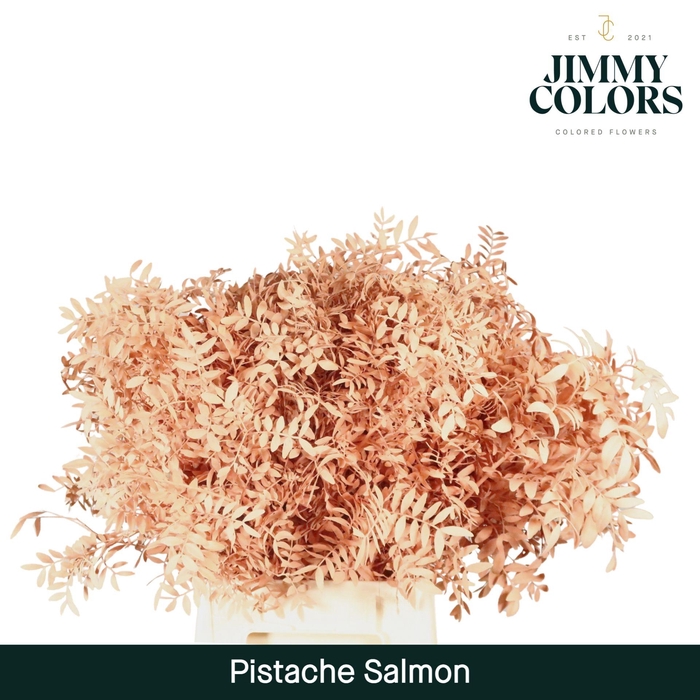 <h4>Pistache L45 Salmon</h4>