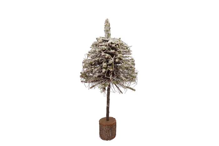<h4>Festive Tree Poplar Moss With Snow 25x25x60cm</h4>