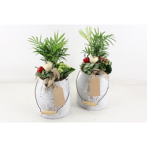 arr2 TD - Zink melkbus - rood/wit