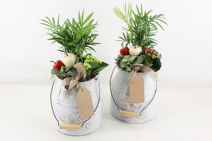 <h4>arr2 TD - Zink melkbus - rood/wit</h4>