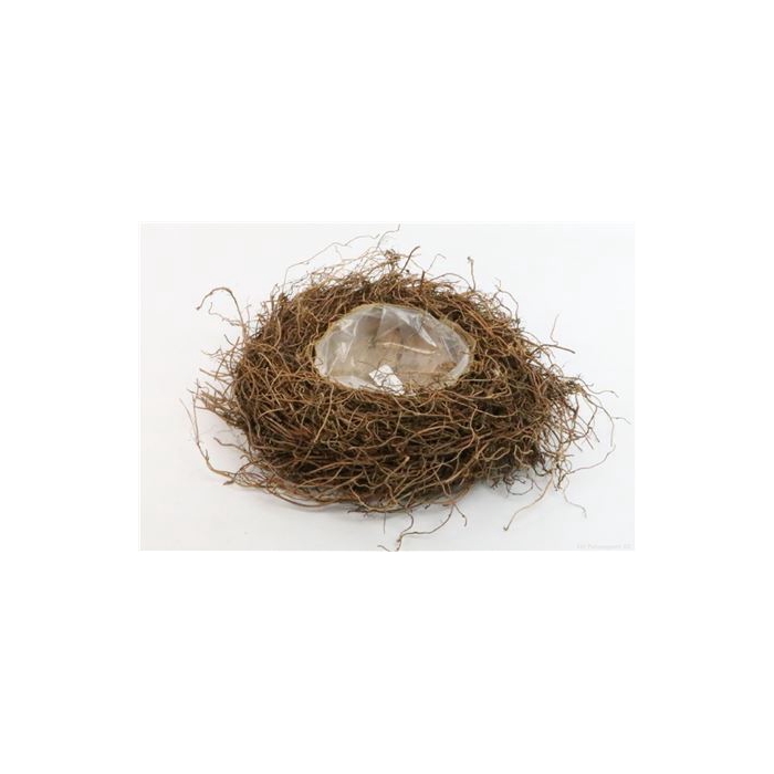 <h4>Basket Fern Root D38h12</h4>