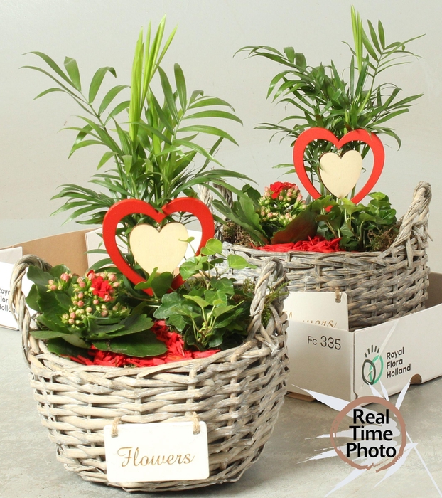 <h4>ARR KAMERPL</h4>