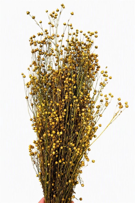 <h4>Dried Lino Vlas Naturel Bunch</h4>