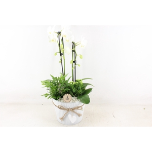 arr2 PL - Zink pot met hart Phal wit