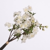 Cherry Blossom Bundle Cream BK770007CRM