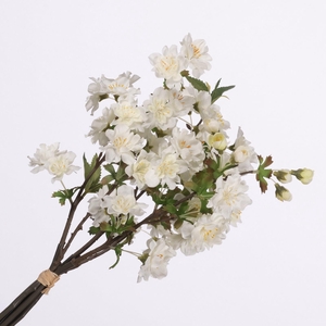 Cherry Blossom Bundle Cream BK770007CRM