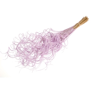 Curly ting ting (palm) 100pc lilac misty