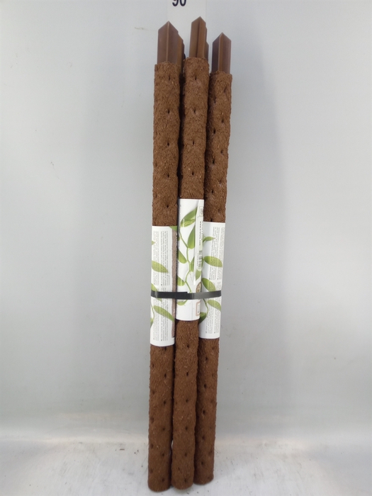<h4>Decoratie  ..Klimstok composteer H%</h4>