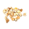 Shell Anviranjan1 kg in poly