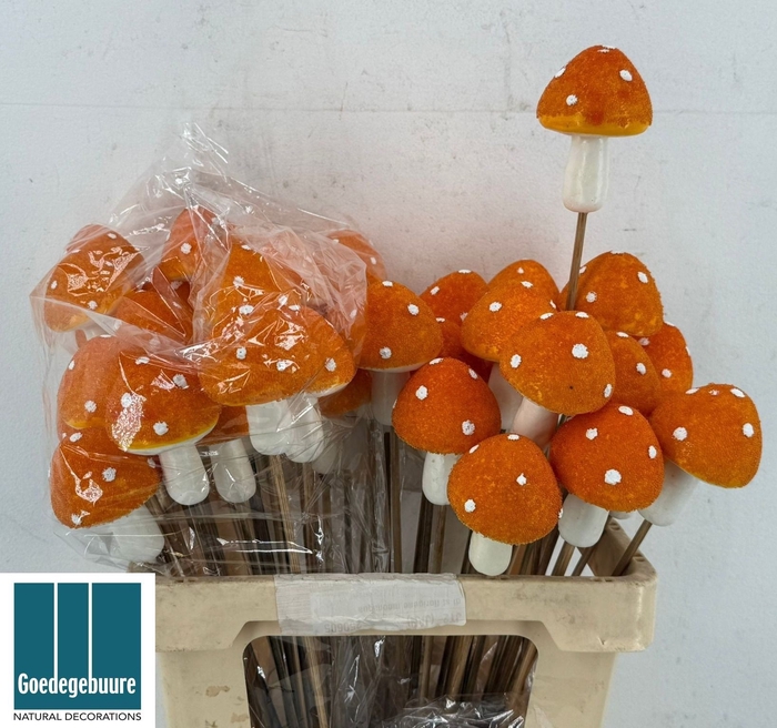 <h4>HUIS EN TUINDECO H%</h4>