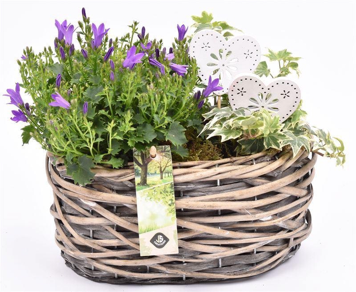 <h4>Wilg mand ovaal girjs 22x13cm2</h4>