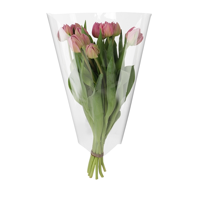 <h4>Housses 52x35x10cm OPP40 Kraftline rose</h4>