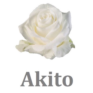 R Gr Akito