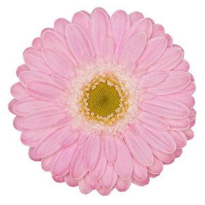 GE MI BABBLE Aquabox - diamond (8 x 15)