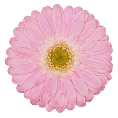<h4>GE MI BABBLE Aquabox *160</h4>