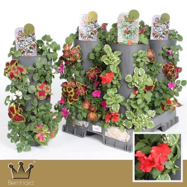 <h4>OVERIGE PERKPL</h4>