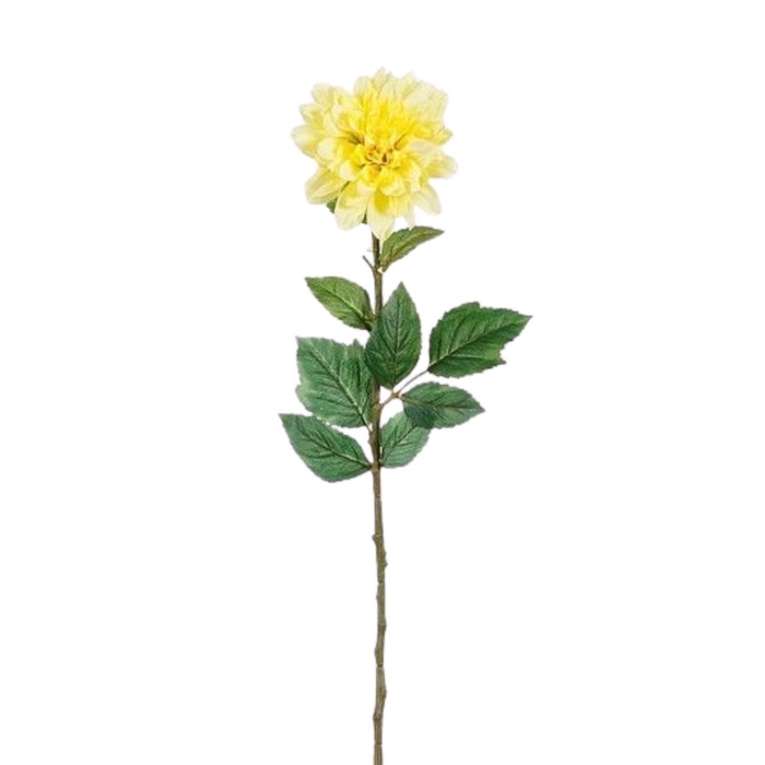 <h4>Dahlia 75cm</h4>