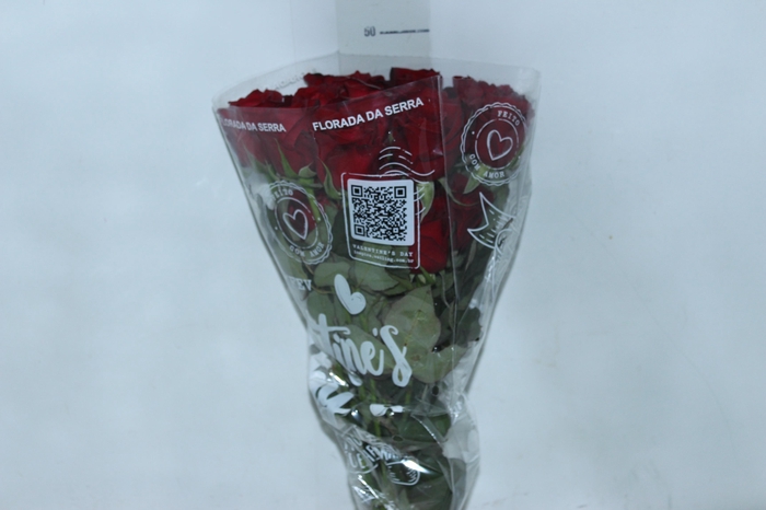 <h4>ROSA SAMOURAI 050 CM ESTUFA</h4>